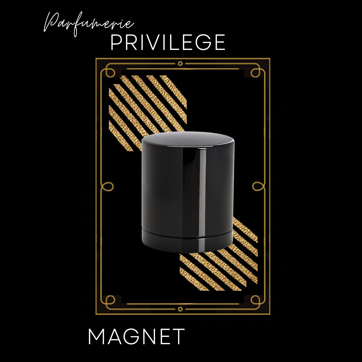 PRIVILEGE MAGNET